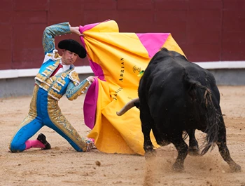 San Isidro Bullfighting